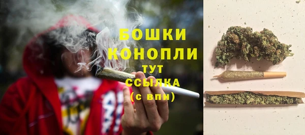 PSILOCYBIN Арсеньев